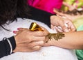 Indian wedding guest having mehndi design applied to forearm. Traditional henna art. Royalty Free Stock Photo