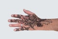 Mehndi Henna Tattoo covering hand and part of arm