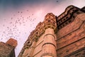 Mehrangarh Fort with  scenic beauty of birds flying over it Rajasthan, Jodhpur - India Royalty Free Stock Photo