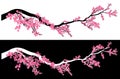 Meihua plum tree blossom vector design set