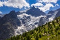 The Meije Glacier in Summer. Ecrins National Park, Hautes-Alpes, France Royalty Free Stock Photo
