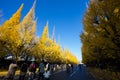 Meiji-jingu Gaien Park`s Ginkgo Avenue