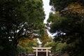 Wooden Torii gate of Meiji Jingu Shrine under big tree in Tokyo Royalty Free Stock Photo