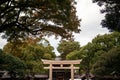 Wooden Torii gate of Meiji Jingu Shrine under big tree in Tokyo Royalty Free Stock Photo