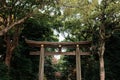 Wooden Torii gate of Meiji Jingu Shrine under big tree in Tokyo Royalty Free Stock Photo