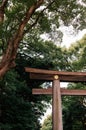 Wooden Torii gate of Meiji Jingu Shrine under big tree in Tokyo Royalty Free Stock Photo