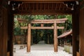 Meiji Jingu Shrine wooden Torii seen through old gate entrance - Tokyo Royalty Free Stock Photo