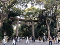 The Meiji Shrine Torii Gate