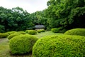 Meiji Shrine Yoyogi Park Tokyo Japan Asia Royalty Free Stock Photo