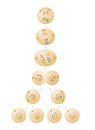 Meiosis cell division illustration