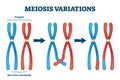 Meiosis variations vector illustration. Educational genetic cell division.