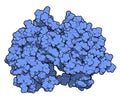 MEK1 or mitogen-activated protein kinase kinase 1 rabbit protein. MEK inhibitors are used in treatment of cancer and include.