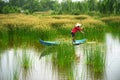 Mekong delta landscape with Vietnamese woman rowing boat on Nang - type of rush tree field, South Vietnam Royalty Free Stock Photo