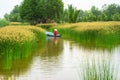 Mekong delta landscape with Vietnamese woman rowing boat on Nang - type of rush tree field, South Vietnam Royalty Free Stock Photo