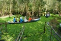 Mekong Delta, Tra Su indigo forest, ecotourism Royalty Free Stock Photo