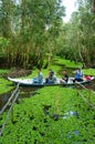 Mekong Delta, Tra Su indigo forest, ecotourism Royalty Free Stock Photo