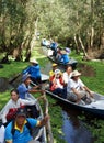 Mekong Delta, Tra Su indigo forest, ecotourism Royalty Free Stock Photo