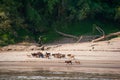 Mekong River Cruise in Laos Royalty Free Stock Photo