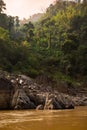 The Mekong river in Laos. River shore and tropical jungle.