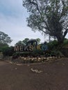 Meksiko park at Bogor Botanical Garden Royalty Free Stock Photo