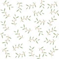 melaleuca cajuputi leaf background vector illustration design