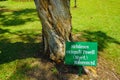 Melaleuca cajuputi powell moluccas tree with banner name on top of green grass