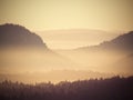 Melancholic morning after rainy night. Valley full of spring mist. Royalty Free Stock Photo