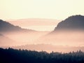 Melancholic morning after rainy night. Valley full of spring mist. Royalty Free Stock Photo