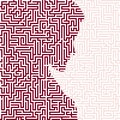 Melancholic woman silhouette with maze or labyrinth texture. Isolated