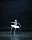 Melancholy linger at Lakeside-The Swan Lakeside-ballet Swan Lake Royalty Free Stock Photo
