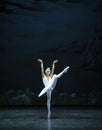 Melancholy linger at Lakeside-The Swan Lakeside-ballet Swan Lake Royalty Free Stock Photo