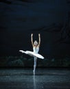 Melancholy linger at Lakeside-The Swan Lakeside-ballet Swan Lake Royalty Free Stock Photo