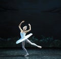 Melancholy linger at Lakeside-The Swan Lakeside-ballet Swan Lake Royalty Free Stock Photo