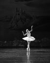 Melancholy linger at Lakeside-The Swan Lakeside-ballet Swan Lake Royalty Free Stock Photo