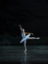 Melancholy linger at Lakeside-The Swan Lakeside-ballet Swan Lake Royalty Free Stock Photo