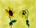 Melancholy Sunflowers Painting