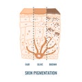 Human skin tone pigmentation diversity infographic diagram