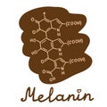Melanin eumelanin formula simple vector illustration with hand lettering.