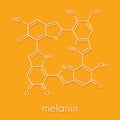 Melanin eumelanin, proposed oligomeric structure model. Primary determinant of skin color. Skeletal formula.