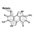 Melanin molecule, Structural chemical formula