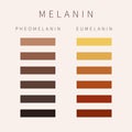 Melanin skin tone color palette scheme design