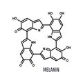 Melanin structural chemical formula on white background