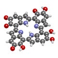 Melanin (eumelanin), proposed oligomeric structure model. Primar