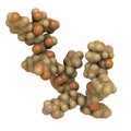 melanotropin (alpha-MSH, melanocyte stimulating hormone) hormone