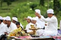 Melasti Ceremony Royalty Free Stock Photo