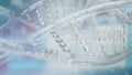 The melatonin on dna Background for sci or health concept 3d rendering Royalty Free Stock Photo