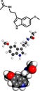 Melatonin hormone, molecular model