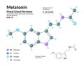 Melatonin. Pineal Gland Hormone. Regulator of Diurnal Rhythms. Structural Chemical Molecular Formula and 3d Model Royalty Free Stock Photo