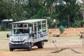 Safari bus in Werribee Open Range Zoo taking visitors through the park