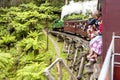 Melbourne, Australia - January 7, 2009: Puffing Billy steam train with passengers rides on a wooden bridge. Dandenong Ranges